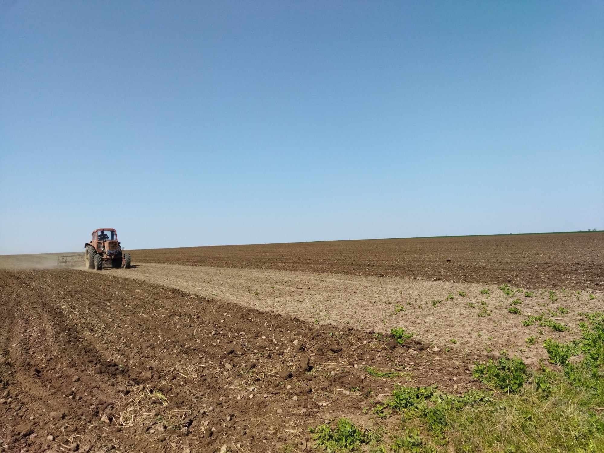 На Одещині екологи скаржаться на систематичне розорювання земель на території нацпарку 