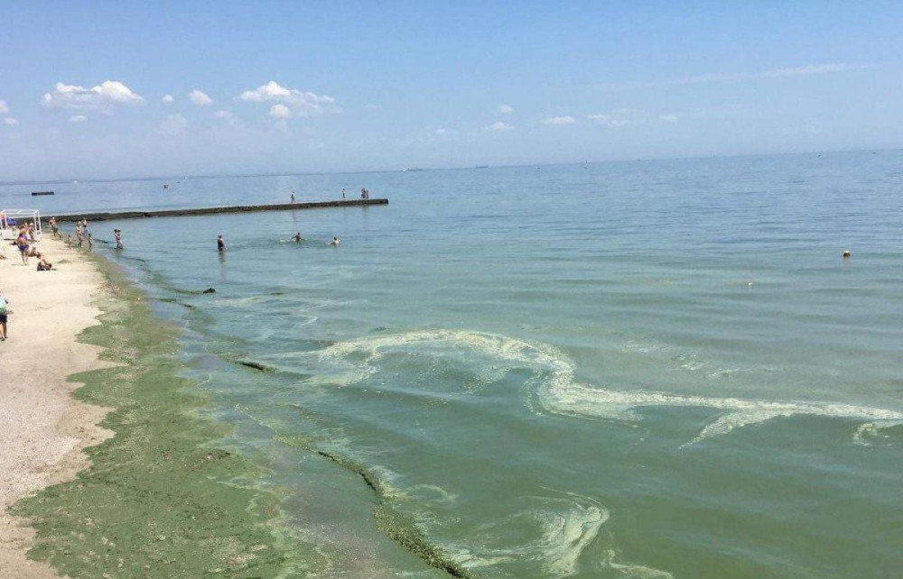 В Одесі заборонили купатися – найбрудніша вода з Каховського водосховища лише починає потрапляти до моря