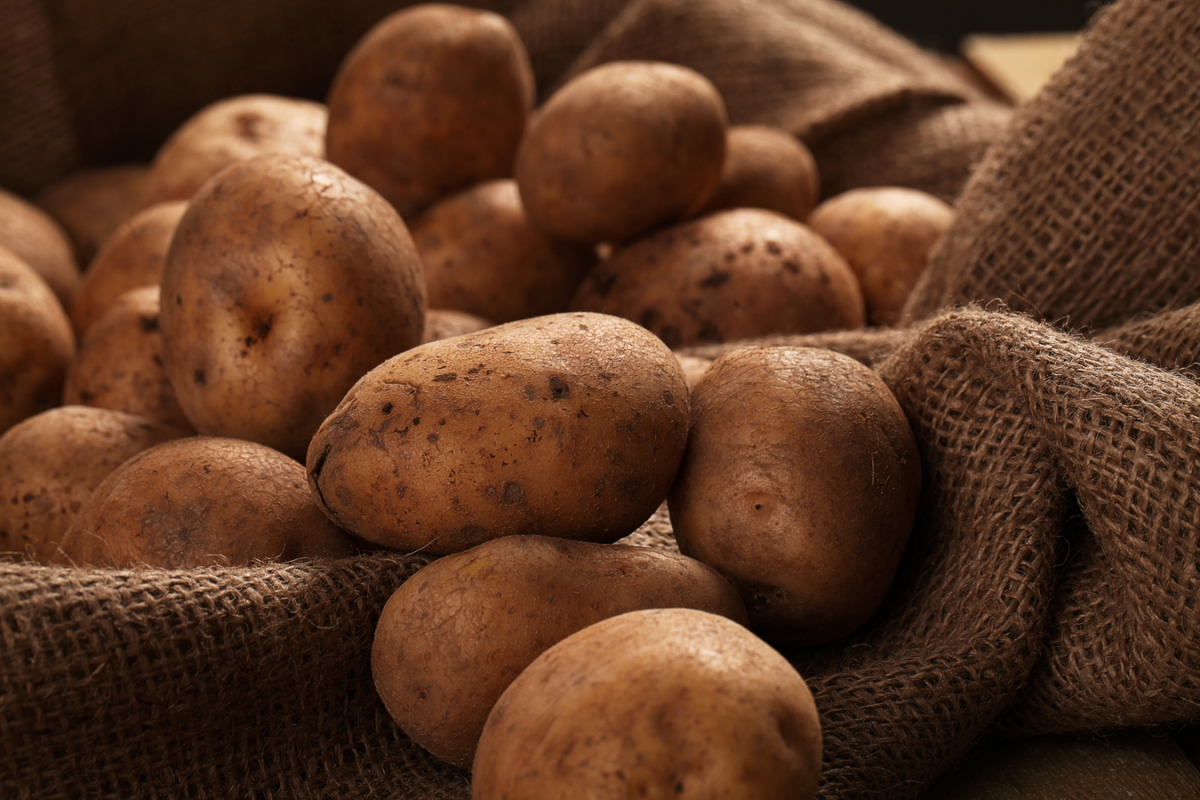 В Україні рекордно подорожчала картопля: переходимо на гречку?