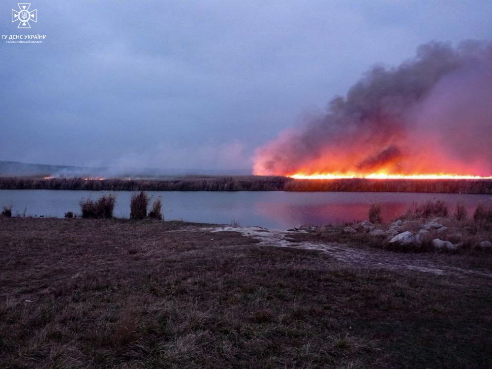 На Миколаївщині палає: із року в рік одна й та сама біда