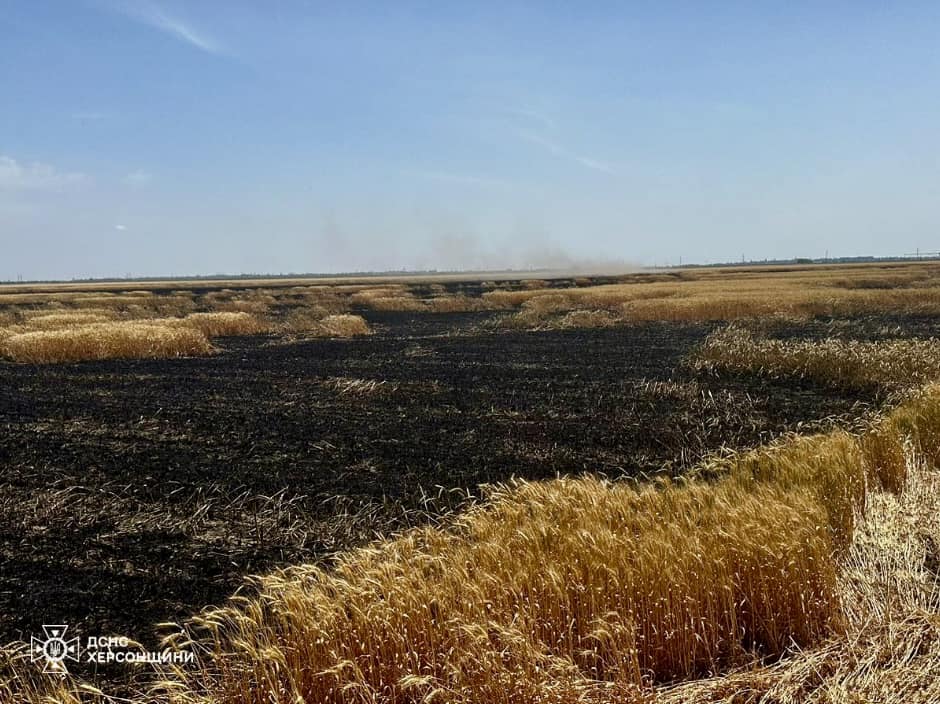 На Херсонщині горить врожай: росіяни скидають на поля вибухівку