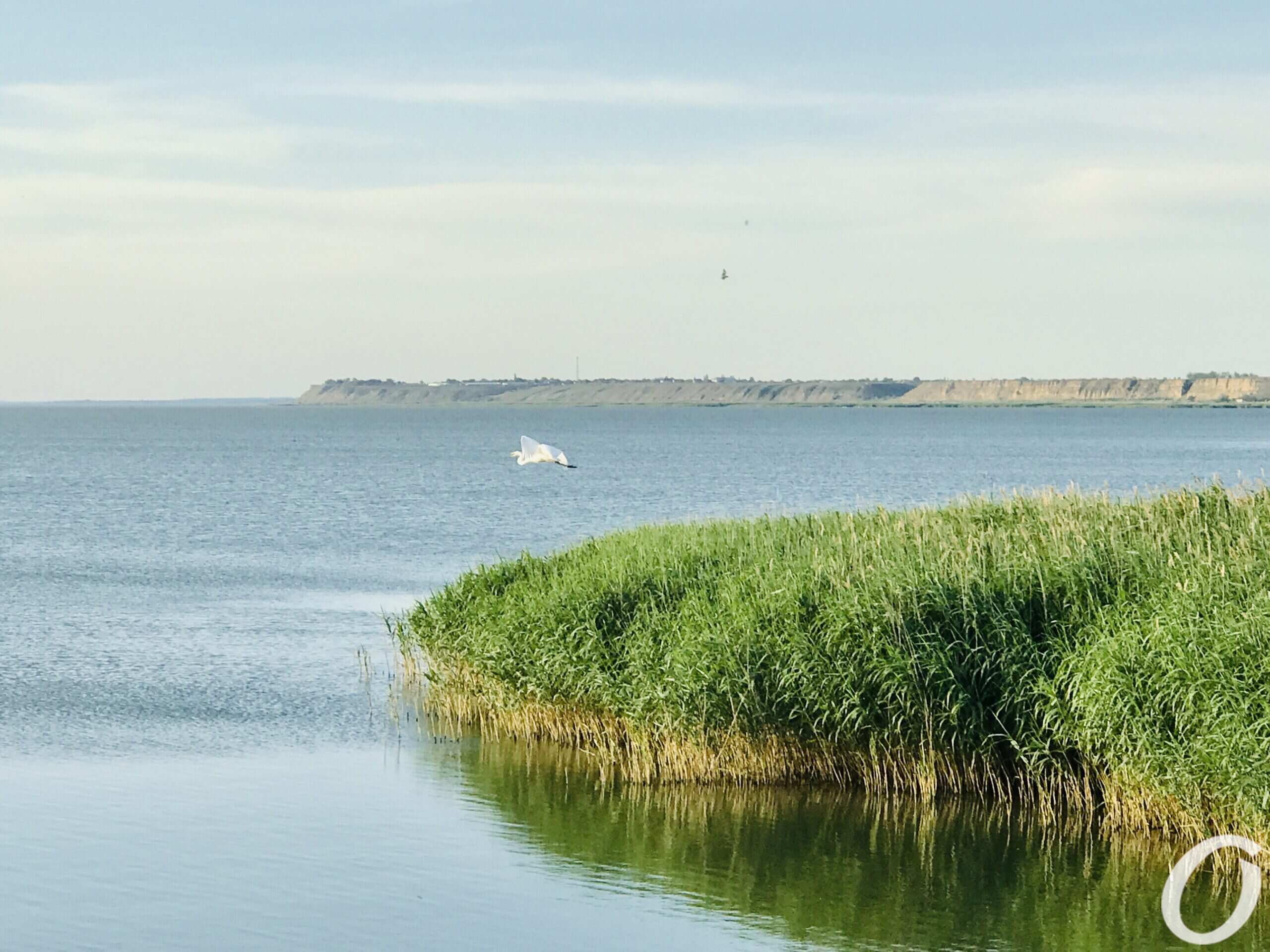 На Одещині – проблеми з водопостачанням через критичне обміління озера Ялпуг: що пропонує влада