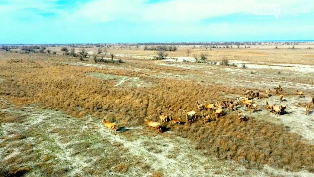 Окупанти продовжують знищувати екологію півдня України
