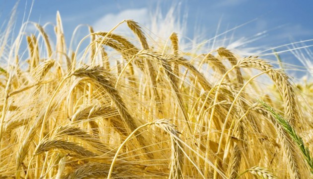 Україна звітує про чергову відправку морським шляхом агропродукції на експорт