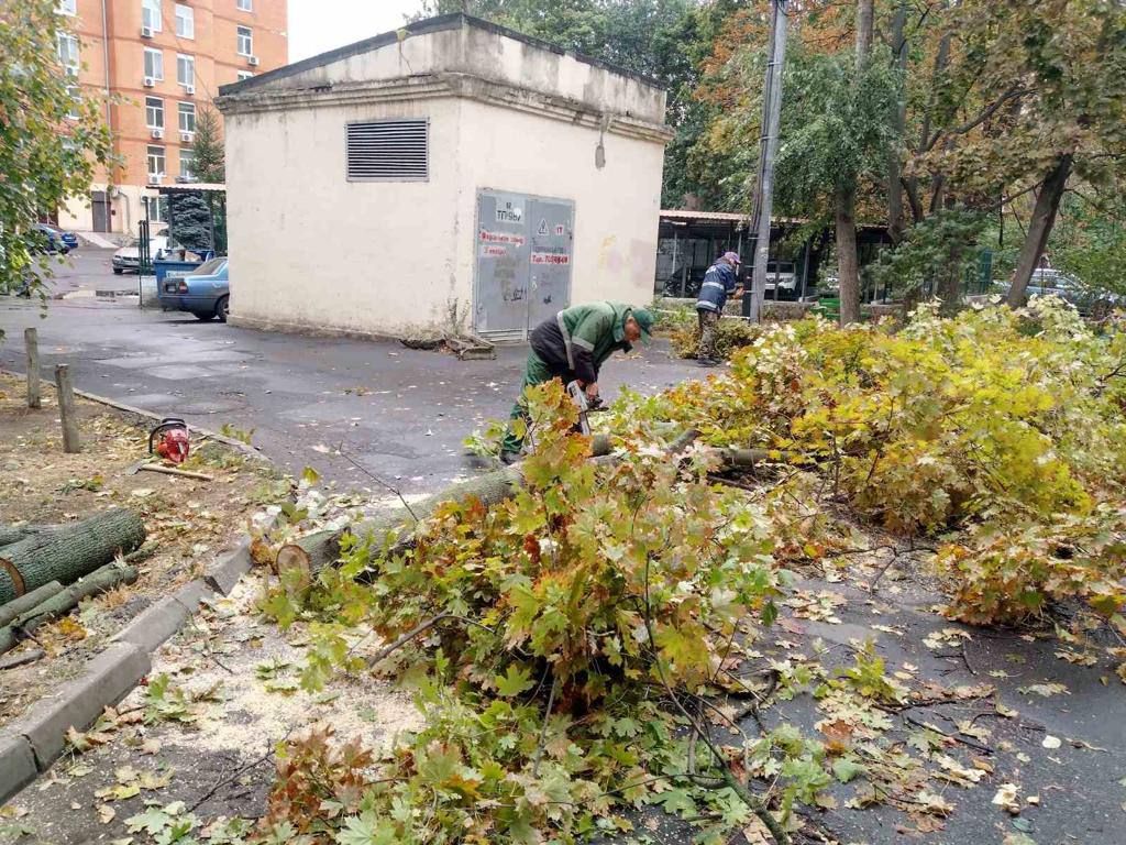 На Півдні негода: в Одесі деревопад та мінна небезпека (фото)