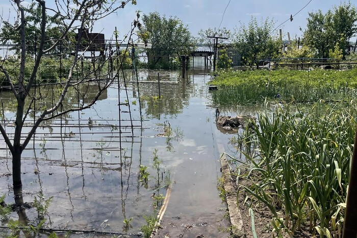 Херсонська влада нагадує: залишилося небагато часу, щоб оформити відшкодування за втрачений урожай
