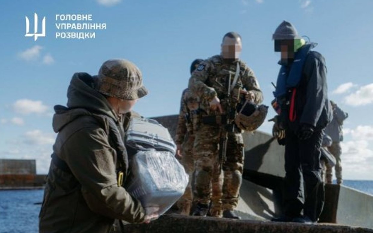 Котам з острова Зміїний вже шукають родини: історія незвичної евакуації (фото)