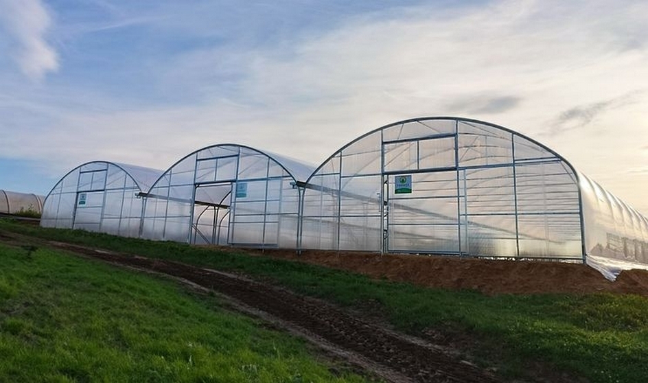 Миколаївські фермери значно збільшили площі під нішеві культури та активно будують теплиці