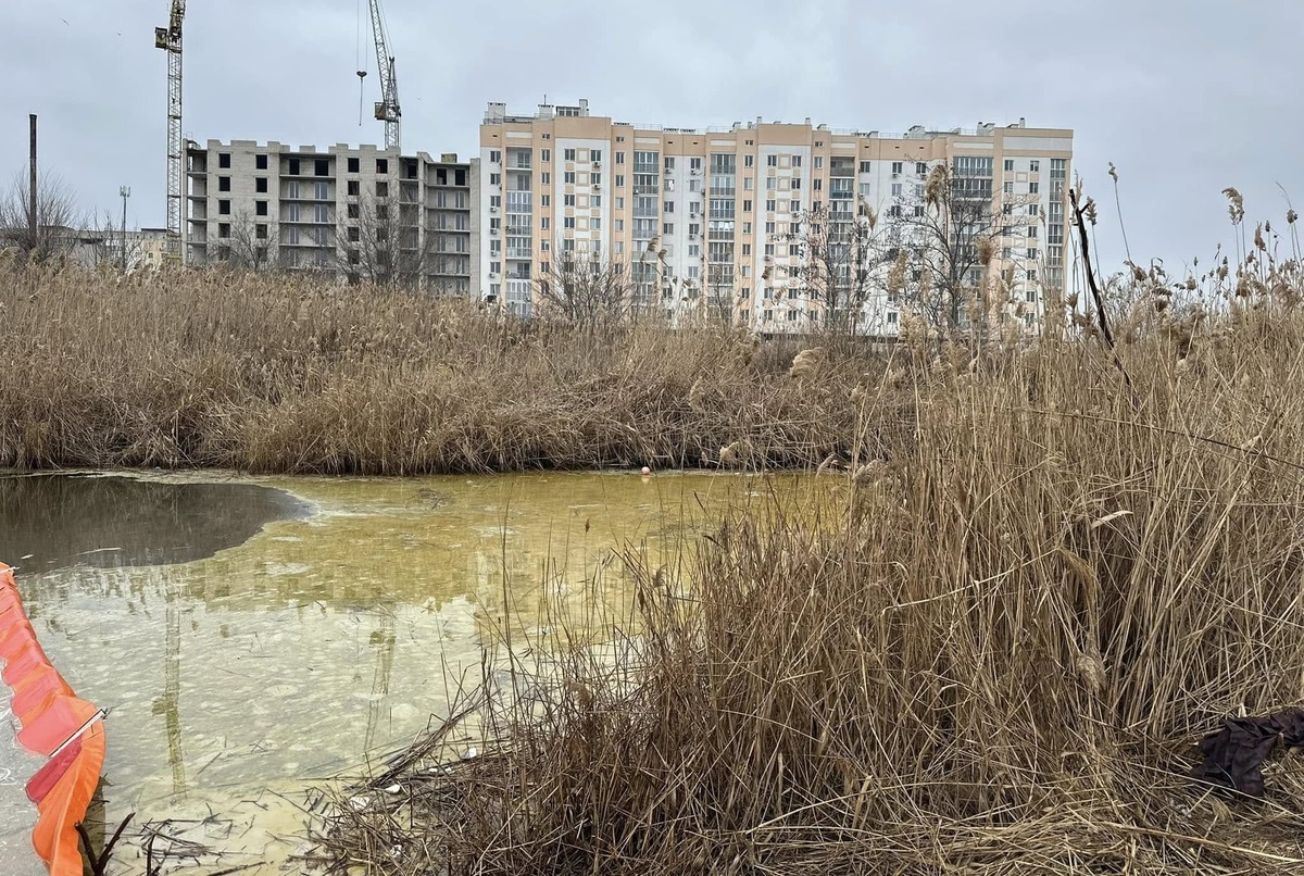розлив олії в Миколаєві