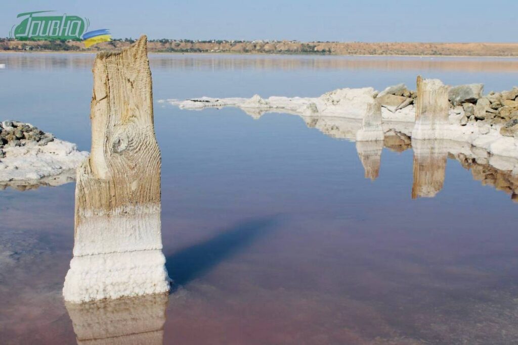 куяльницький лиман