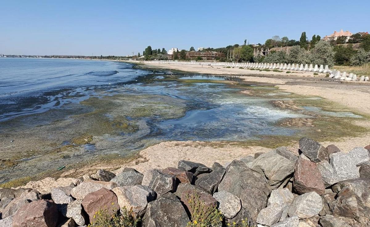 Чорне море змінило колір. Екоінспектори перевірили стан води