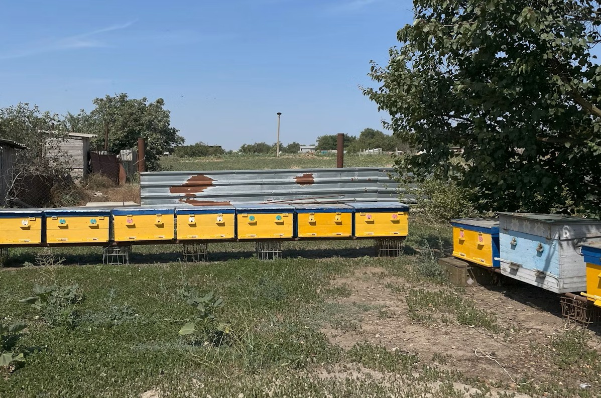 Насамперед відновлюють пасіку: як грантові кошти допомагають подружжю фермерів з Херсонщини