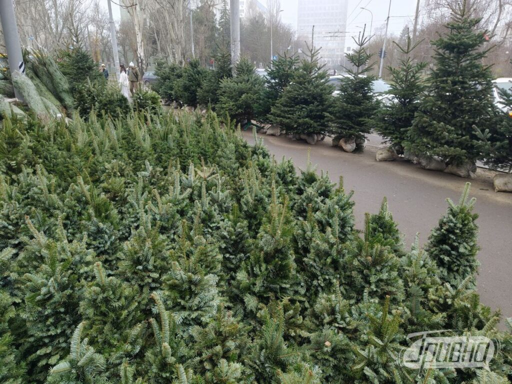 Одеса ялинки