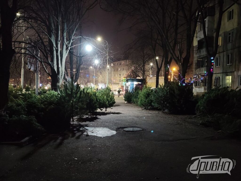 Одеса ялинки