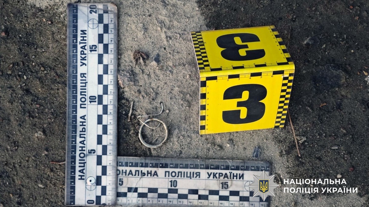 Поліція затримала жителя Архангельського, який кинув гранату у бік групи людей біля сільради