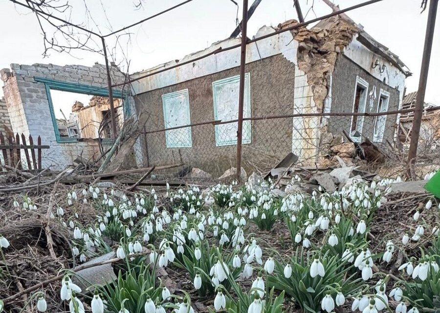 село Білогірка на Херсонщині