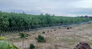 Швеція долучиться до наукових досліджень на території знищеної росіянами Каховської ГЕС