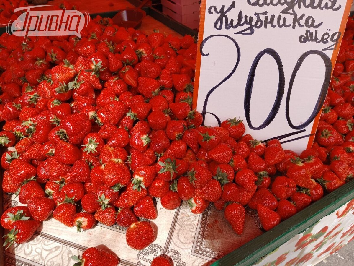 ціни на полуницю