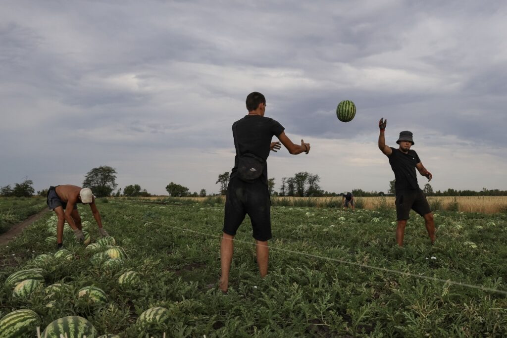 фермери Херсонщини конкурс Photo Journalism Prize