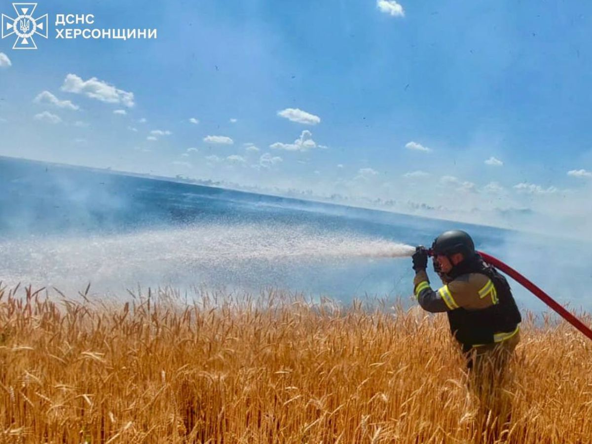Через російські атаки на Херсонщині палали поля та сухостій (ФОТО)