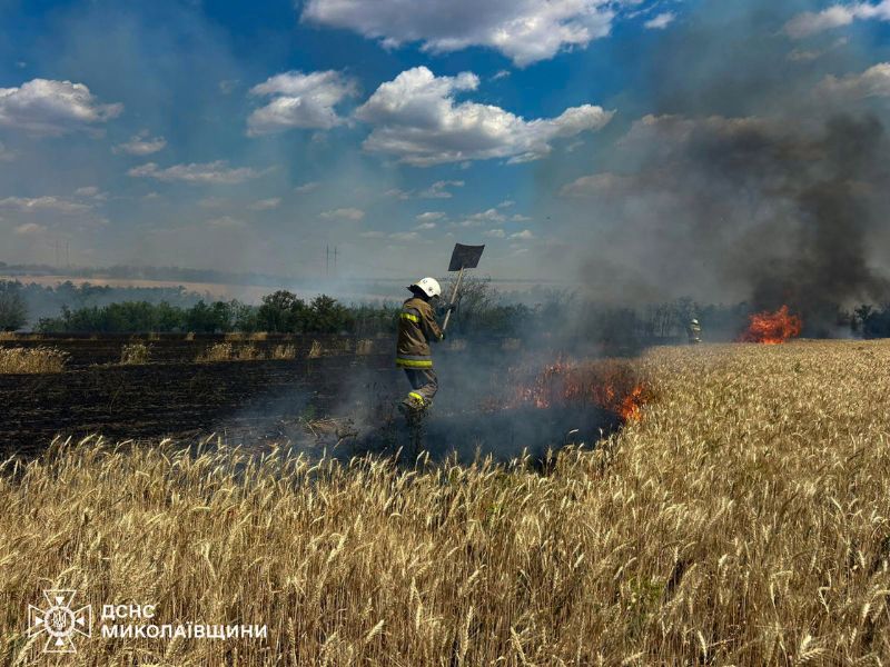 За добу на Миколаївщині спалахнули 42 пожежі: горіли поля, будинки та автомобілі (ФОТО/ВІДЕО)