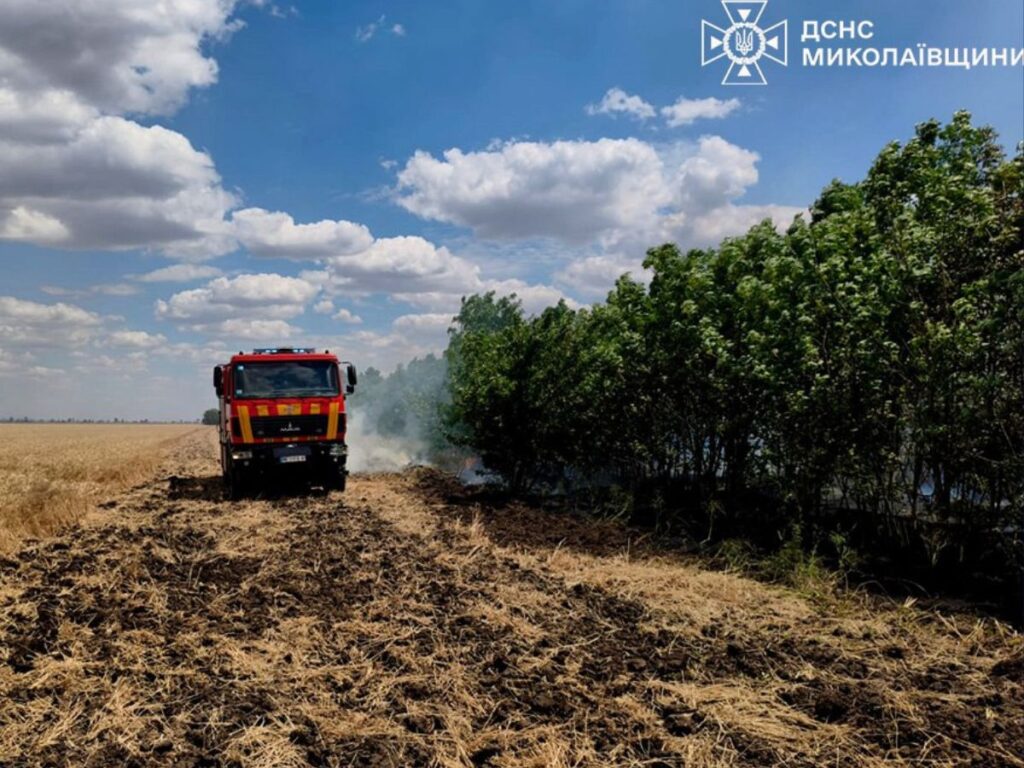 Пожежі на Миколаївщині охопили понад 30 гектарів