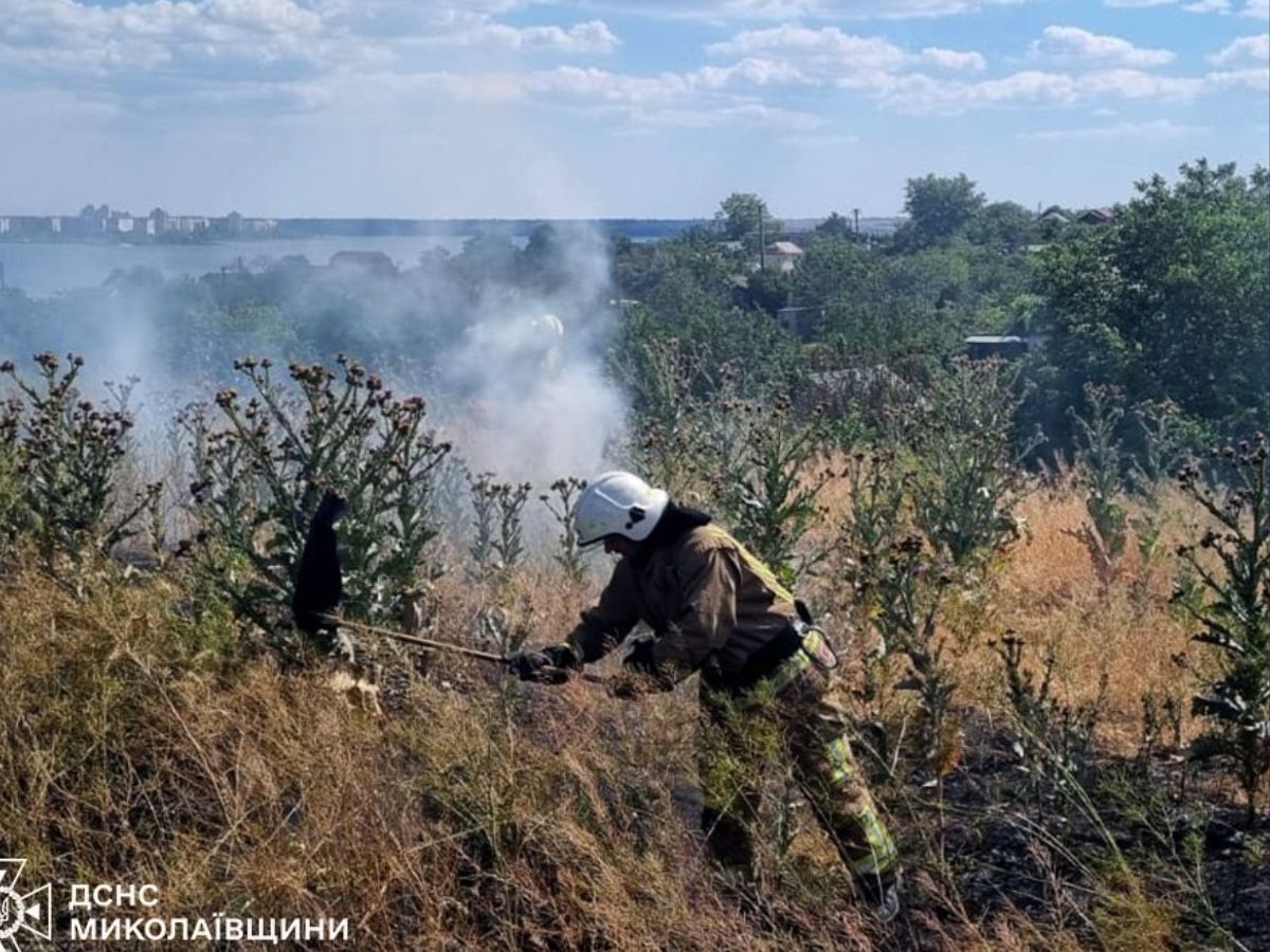 Вогонь дістався пшеничних полів: за добу на Миколаївщині сталося 19 пожеж