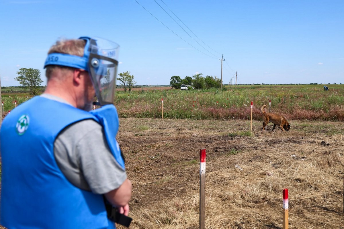 На Херсонщині окупанти вбили одного та поранили трьох працівників Норвезької гуманітарної організації