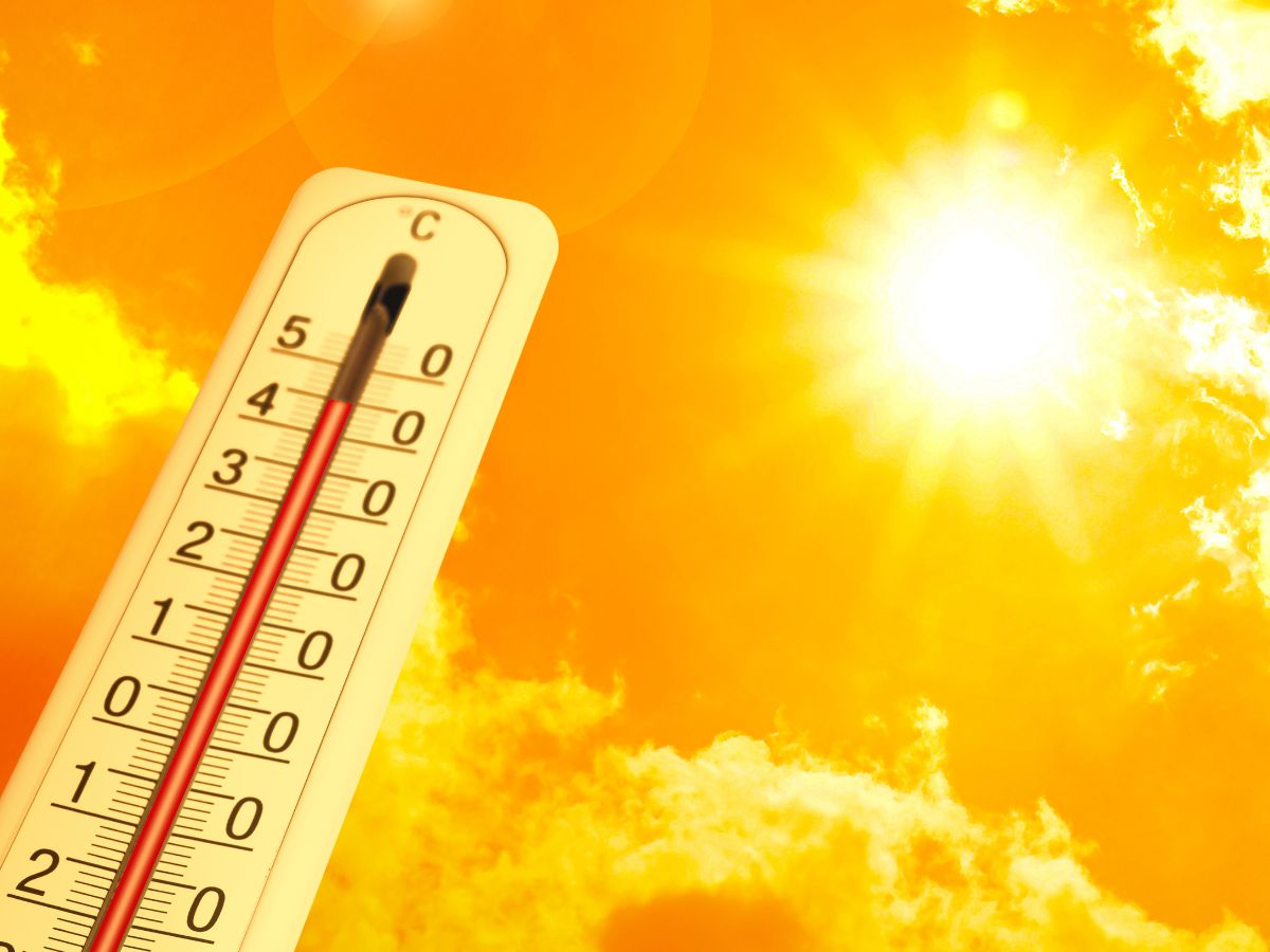 Спека до +37°: синоптики попередили про нову хвилю тепла в Україні
