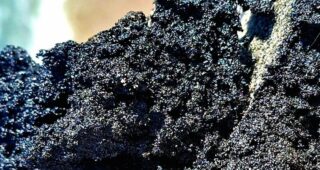 На Одещині екологи натрапили на нові осередки забруднення морського узбережжя