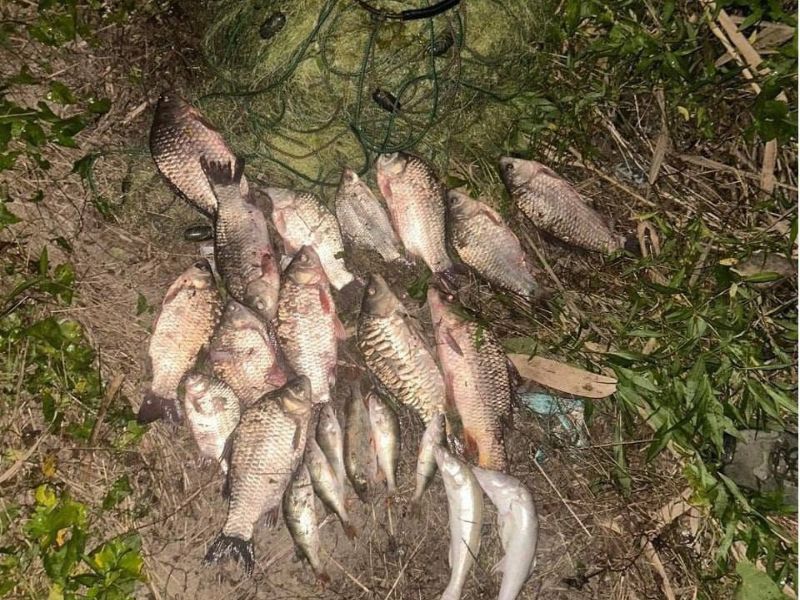 На Херсонщині браконьєри наловили риби на понад 254 тисячі гривень