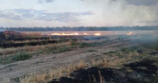 Врожай хороший, але його треба ще встигнути зібрати: як проходять жнива на Херсонщині