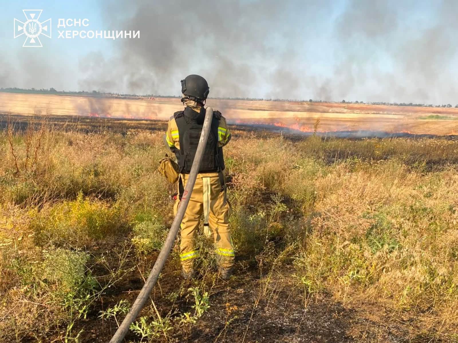 Горіли поля пшениці та сухостій: за добу на Херсонщині рятувальники ліквідували 15 пожеж (фото)