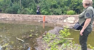 На Миколаївщині чоловік перекрив притоку річки: пошкоджено дерева, фахівці підрахували збитки