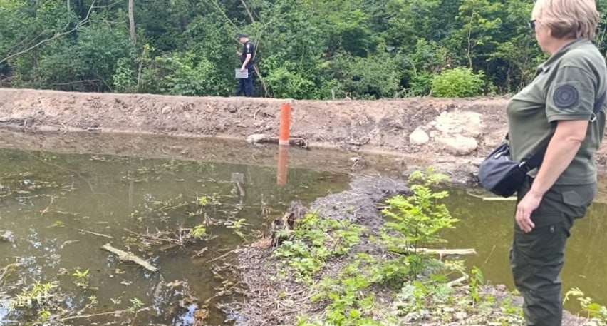 На Миколаївщині чоловік перекрив притоку річки: пошкоджено дерева, фахівці підрахували збитки