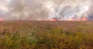 В «Асканії-Новій» на ТОТ Херсонщини знову горів заповідний степ (фото)