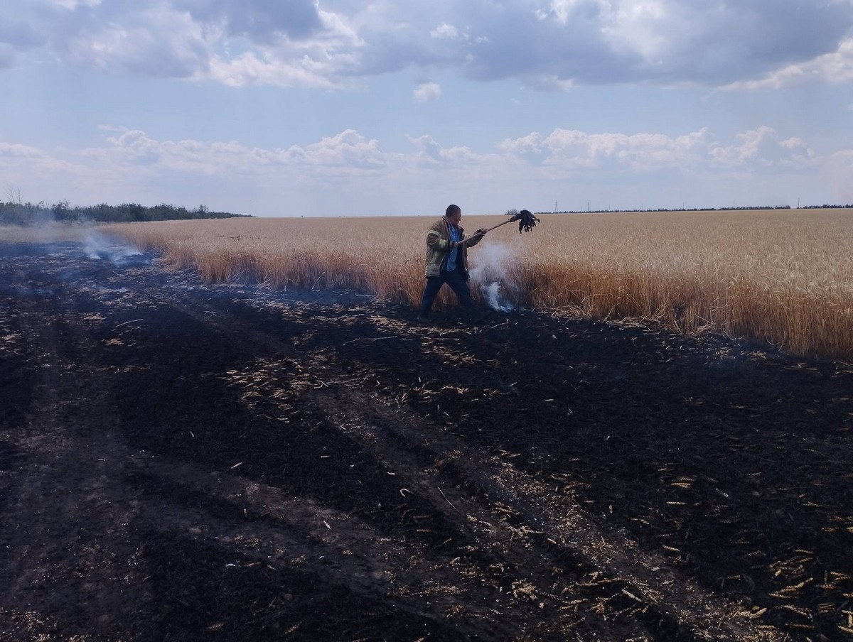Пожежі на полях Херсонщини: масштаби втрат та ініціатива щодо компенсації аграріям (фото)