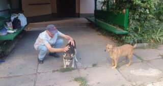 На лікування песика збирали кошти всім будинком: як херсонці піклуються про безпритульних тварин