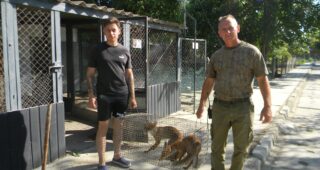 Після 3 місяців реабілітації: на Одещині у дику природу випустили лисенят