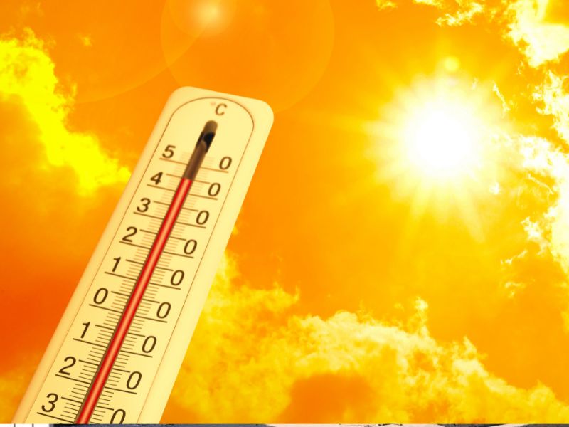 Спека не відступає: на Херсонщині прогнозують до +38°