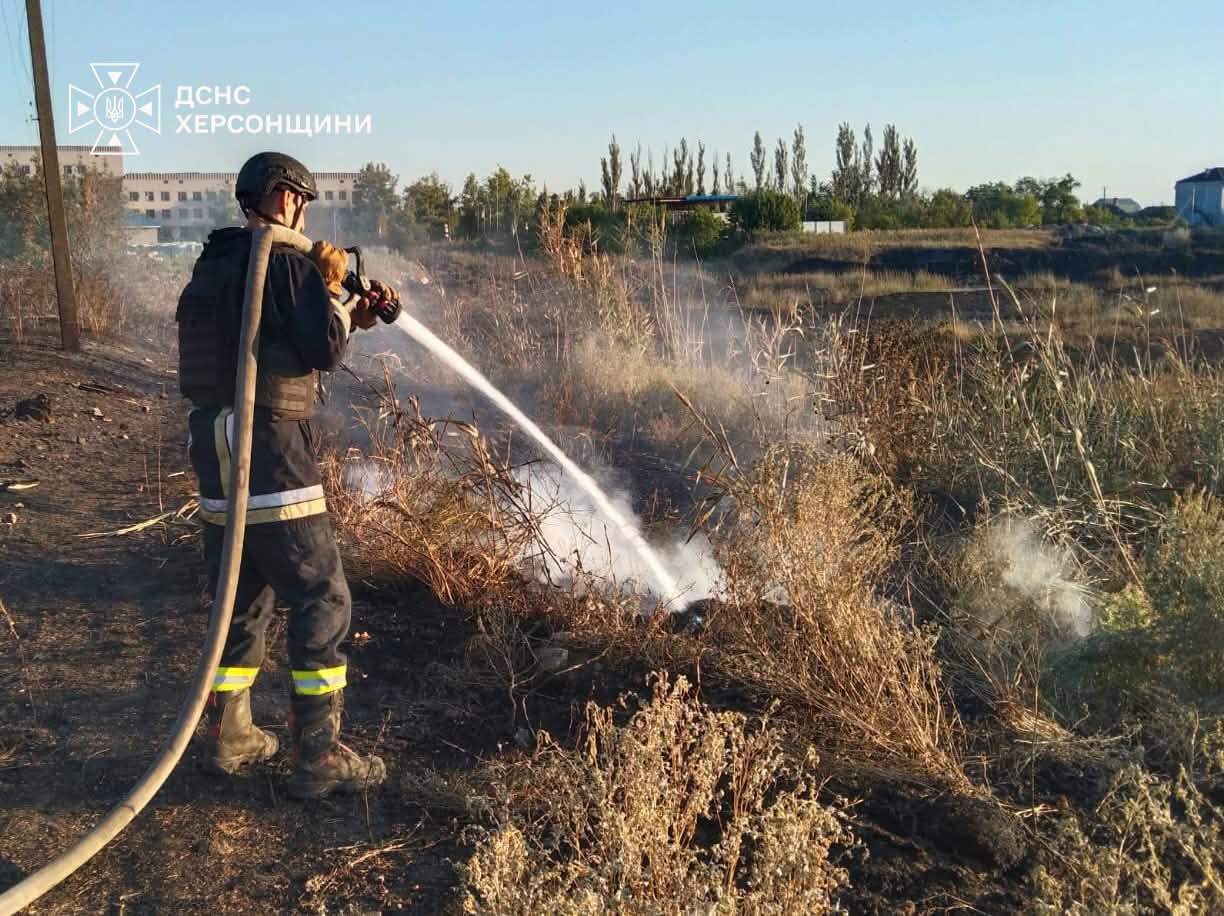 Горить сухостій: на Херсонщині рятувальники ліквідували 7 пожеж