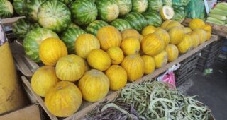 Від кавунів по 15 гривень до полуниці по 270: огляд цін на одеському Привозі на початку серпня (фото)