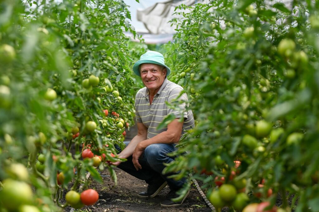 Допомога прифронтовим домогосподарствам