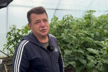 Вирощує городину та ділиться досвідом з місцевими: історія фермера з Херсонщини, який почав все з нуля на Хмельниччині