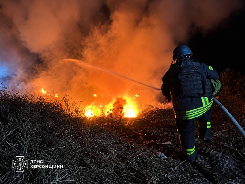Пожежа у Білій Криниці Бериславського району