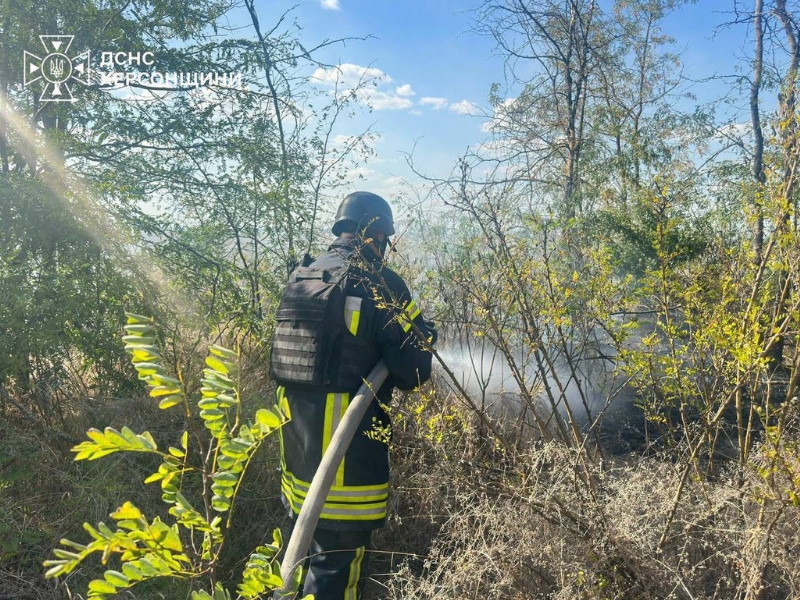 Пожежа на Херсонщині: суха трава горіла поблизу двох сіл