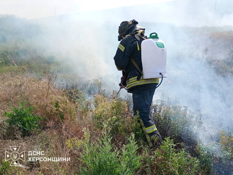 На Херсонщині ДСНС гасила масштабні займання сухостою поблизу двох сіл