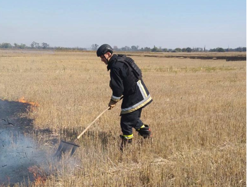 Пожежа в екосистемі на Херсонщині