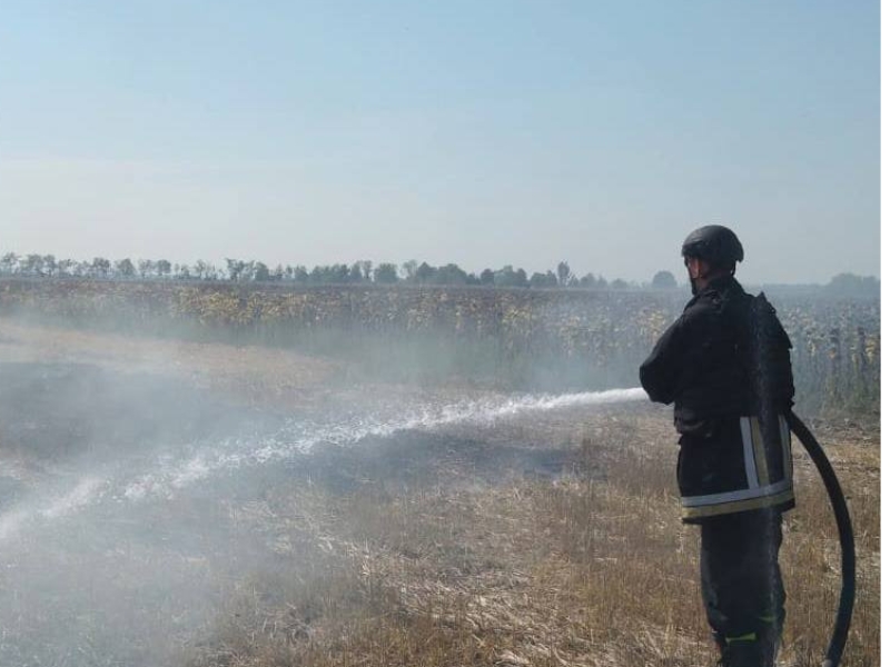 Пожежа в екосистемі на Херсонщині