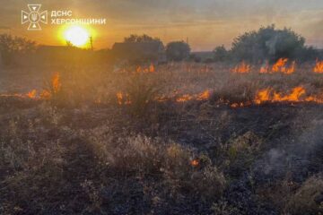 На Херсонщині за минулу добу сталися три пожежі в екосистемах (фото)
